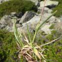 Img.VTax3897.Ex1.Img1