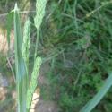 Img.VTax3923.Ex1.Img3