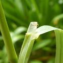 Img.VTax3923.Ex1.Img6