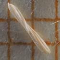 Img.VTax3923.Ex2.Img2