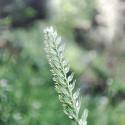 Img.VTax3926.Ex1.Img1