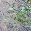 Img.VTax3927.Ex1.Img1