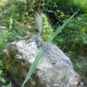 Img.VTax3927.Ex1.Img3
