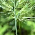 Img.VTax3927.Ex1.Img6
