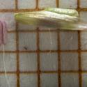 Img.VTax3941.Ex1.Img1