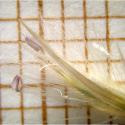 Img.VTax3941.Ex1.Img3