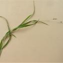 Img.VTax3947.Ex1.Img1