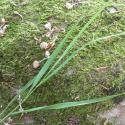 Img.VTax3947.Ex1.Img3