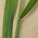 Img.VTax3947.Ex1.Img5