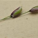 Img.VTax3947.Ex1.Img6