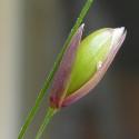Img.VTax3947.Ex1.Img7