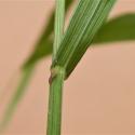 Img.VTax3947.Ex1.Img8