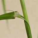 Img.VTax3947.Ex1.Img9