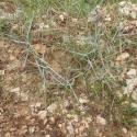 Img.VTax3988.Ex1.Img1
