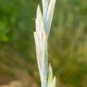 Img.VTax3988.Ex1.Img6