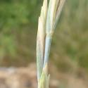 Img.VTax3988.Ex1.Img7
