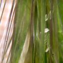 Img.VTax3996.Ex1.Img6
