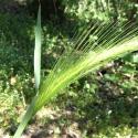 Img.VTax3998.Ex1.Img1