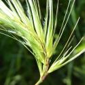Img.VTax3998.Ex1.Img3