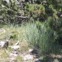 Img.VTax4012.Ex1.Img1