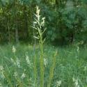 Img.VTax4022.Ex2.Img1