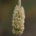 Img.VTax4026.Ex1.Img1