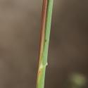 Img.VTax4026.Ex1.Img2
