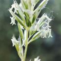 Img.VTax4029.Ex1.Img3