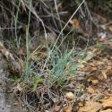 Img.VTax4029.Ex2.Img1