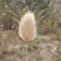 Img.VTax4038.Ex3.Img3