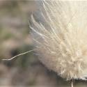 Img.VTax4038.Ex3.Img4