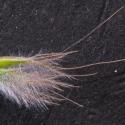 Img.VTax4038.Ex4.Img10