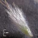 Img.VTax4038.Ex4.Img6