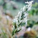 Img.VTax4054.Ex1.Img1
