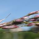 Img.VTax4116.Ex1.Img3