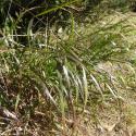 Img.VTax4116.Ex2.Img1