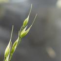Img.VTax4116.Ex3.Img2