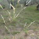 Img.VTax4116.Ex3.Img3
