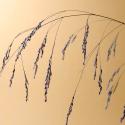 Img.VTax4116.Ex4.Img3