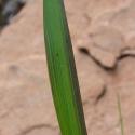 Img.VTax4118.Ex1.Img1