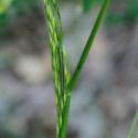 Img.VTax4118.Ex1.Img2