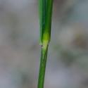 Img.VTax4118.Ex1.Img3