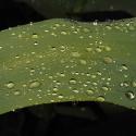 Img.VTax4137.Ex1.Img1