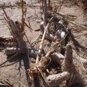 Img.VTax4137.Ex1.Img3