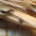 Img.VTax4137.Ex1.Img5
