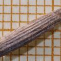 Img.VTax4144.Ex1.Img1