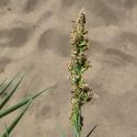Img.VTax4149.Ex1.Img4