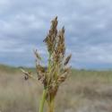 Img.VTax4157.Ex2.Img3