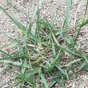 Img.VTax4158.Ex1.Img1