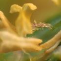 Img.VTax4163.Ex2.Img3